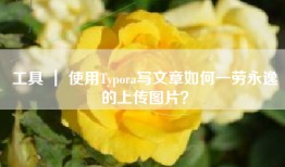 工具 ｜ 使用Typora写文章如何一劳永逸的上传图片？