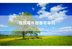 驾照每年都要年审吗