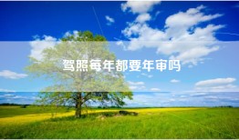 驾照每年都要年审吗