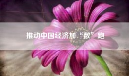 推动中国经济加“数”跑