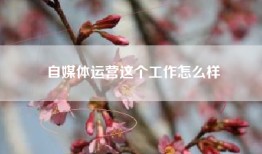 自媒体运营这个工作怎么样