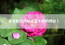 卖手机的网站（卖手机的网址）