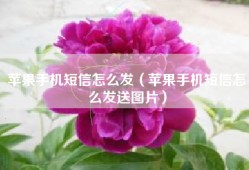 苹果手机短信怎么发（苹果手机短信怎么发送图片）