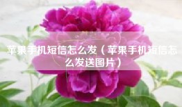 苹果手机短信怎么发（苹果手机短信怎么发送图片）
