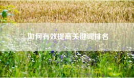 如何有效提高关键词排名