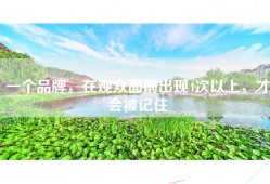 一个品牌，在观众面前出现4次以上，才会被记住