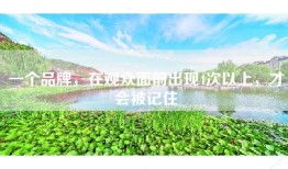 一个品牌，在观众面前出现4次以上，才会被记住