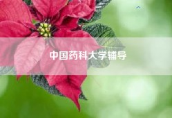 中国药科大学辅导