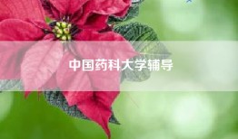 中国药科大学辅导