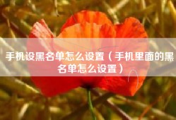手机设黑名单怎么设置（手机里面的黑名单怎么设置）