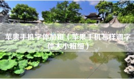 苹果手机字体加粗（苹果手机怎样调字体大小粗细）