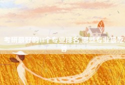 考研最好的13个专业排名 哪些专业最吃香