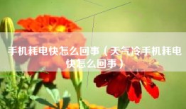 手机耗电快怎么回事（天气冷手机耗电快怎么回事）