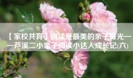 【家校共育】阅读是最美的亲子时光——芦溪二小亲子阅读小达人成长记(六)