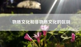 物质文化和非物质文化的区别