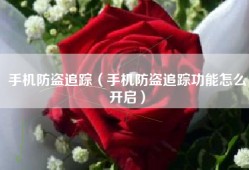手机防盗追踪（手机防盗追踪功能怎么开启）