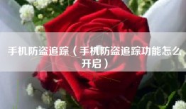 手机防盗追踪（手机防盗追踪功能怎么开启）