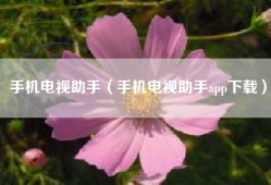 手机电视助手（手机电视助手app下载）