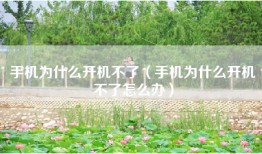 手机为什么开机不了（手机为什么开机不了怎么办）