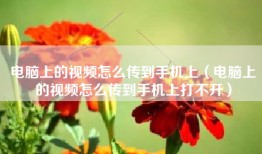 电脑上的视频怎么传到手机上（电脑上的视频怎么传到手机上打不开）