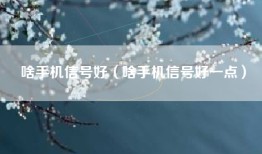 啥手机信号好（啥手机信号好一点）
