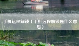 手机远程解锁（手机远程解锁是什么意思）