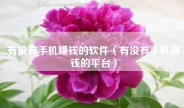 有没有手机赚钱的软件（有没有手机赚钱的平台）