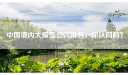 中国境内大模型公司排名，你认同吗？