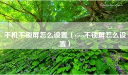 手机不锁屏怎么设置（vivo不锁屏怎么设置）