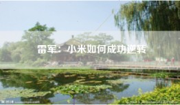 雷军：小米如何成功逆转