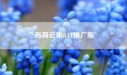 万商云集BAT推广版
