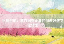 正略咨询：地方国有企业如何做好数字化转型