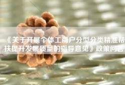 《关于开展个体工商户分型分类精准帮扶提升发展质量的指导意见》政策问答