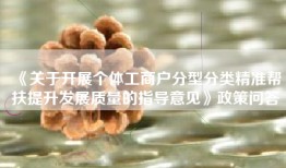 《关于开展个体工商户分型分类精准帮扶提升发展质量的指导意见》政策问答