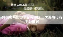 跨境电商出口平台有哪些 十大跨境电商平台推荐