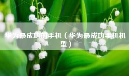 华为最成功的手机（华为最成功手机机型）