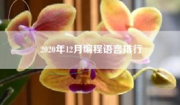 2020年12月编程语言排行