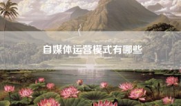 自媒体运营模式有哪些
