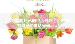 手机怎么看自己的电话号码（手机怎么看自己的电话号码oppo）