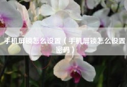 手机屏锁怎么设置（手机屏锁怎么设置密码）
