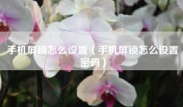 手机屏锁怎么设置（手机屏锁怎么设置密码）