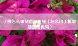 手机怎么录制直播视频(怎么用手机录制直播视频)