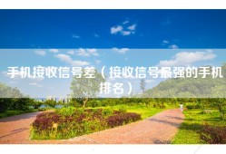 手机接收信号差（接收信号最强的手机排名）