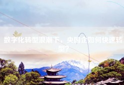 数字化转型浪潮下，央国企如何快速转型？