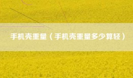 手机壳重量（手机壳重量多少算轻）