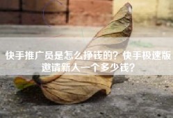 快手推广员是怎么挣钱的？快手极速版邀请新人一个多少钱？