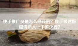 快手推广员是怎么挣钱的？快手极速版邀请新人一个多少钱？