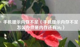 手机提示内存不足(手机提示内存不足怎么办但是内存还有50g)