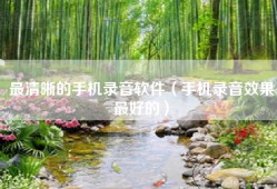 最清晰的手机录音软件（手机录音效果最好的）