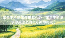 苹果手机显示停用怎么办（苹果手机显示停用怎么办15分钟后再试）